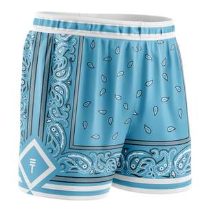 Kids Paisley Shorts - Carolina Blue