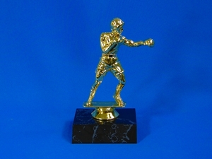 Figurines & Resin Trophies – Trophy Specialists & Engraving: Boxing Trophy (M)