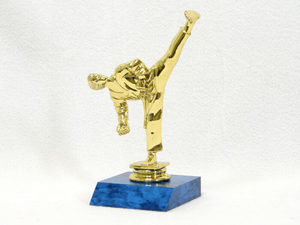 Figurines & Resin Trophies – Trophy Specialists & Engraving: Karate Trophy