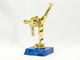 Karate Trophy
