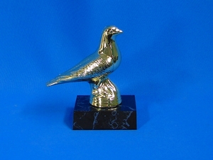 Pigeon Trophy