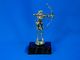 Archer Trophy
