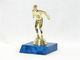Swimmer Trophy