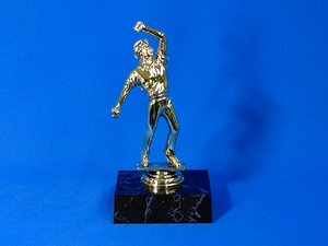 Trophies – Trophy Specialists & Engraving: Cricket Bowler Trophy