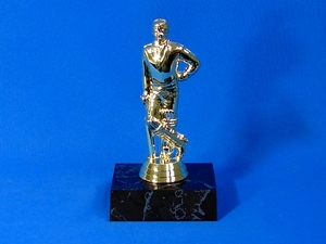 Trophies – Trophy Specialists & Engraving: Cricketer Trophy (M)