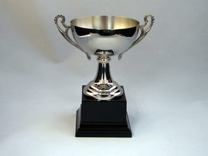 Trophies – Trophy Specialists & Engraving: Steel Bowl Cup