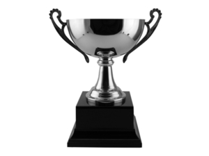 Trophies – Trophy Specialists & Engraving: Steel Bowl Cup