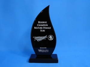 Trophies – Trophy Specialists & Engraving: Flame 10mm Black Acrylic