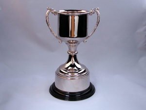 Trophies – Trophy Specialists & Engraving: Delta Cup Range