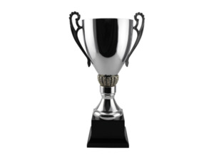 Trophies – Trophy Specialists & Engraving: Grand Steel Cup Range
