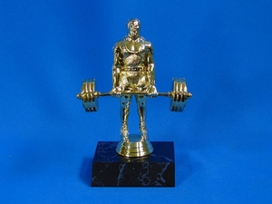 Trophies – Trophy Specialists & Engraving: Power Lifter Trophy (M)