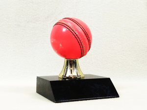 Trophies – Trophy Specialists & Engraving: Mounted Cricket Ball on Small Base