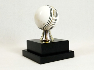 Trophies – Trophy Specialists & Engraving: Mounted Cricket Ball on Stacked Base