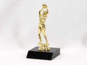Trophies – Trophy Specialists & Engraving: Netball Player Trophy