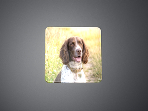 Products: Resin Domed Photo 40mm x 40mm