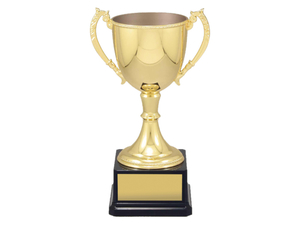 Gold Cup