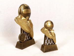 Diego Netball Award