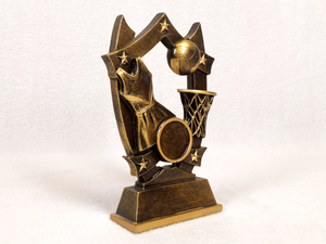 Netball All Stars Award
