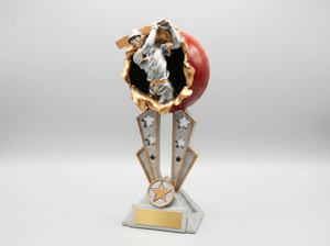 Cricket – Trophy Specialists & Engraving: Breakout Cricket Award
