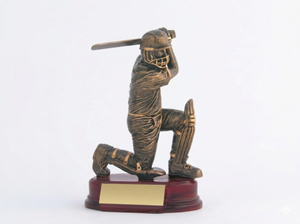 Cricket – Trophy Specialists & Engraving: Cricket Batsman