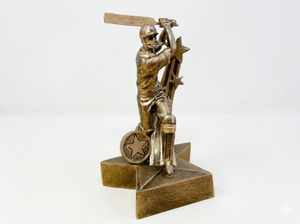 Superstar Cricket Batter