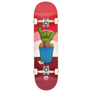 Skate Completes: DECA Murphy's Cactus 8.5" Complete - Lookin' Sharp