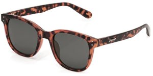 Carve Homeland Tortoise Polarised