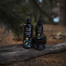 Our: St John’s Wort (Hypericum perforatum) herbal infused oil