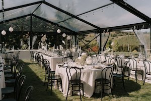 Products: Black Bentwood Chair Hire - Wedding Hire + Events Truly Yours