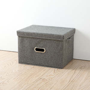 DS BS Collapsible Storage Bins with Lids and Handles-L