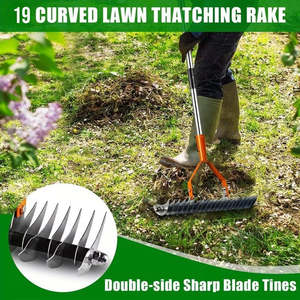 Kiwi Disable List: DS BS Adjustable Garden Rake 19 Tine Metal Thatching Rake