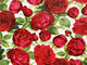 Rosies Garden