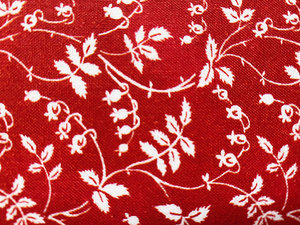 Splash of Red