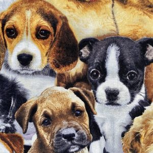 Products: Pretty Pooch’s (Kids)
