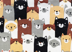 Products: Cats or Llamas