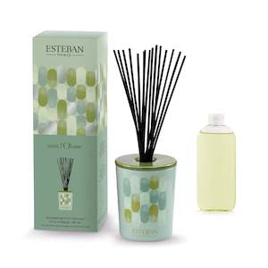 Decorative Reed Diffuser - Sous L'Olivier