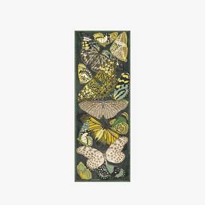 Inoui Editions - Papillon Emerald scarf