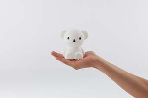 Boris Bundle Of Light