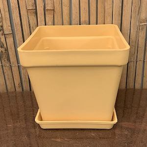 15cm Gold Square Planter/Saucer