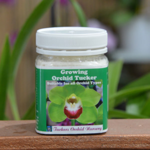 Growing Orchid Tucker