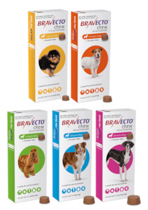 Dispensary: Bravecto Flea & Tick Chewable Treatment for Dogs