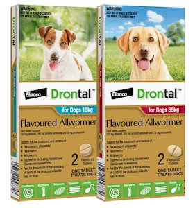 Drontal for Dogs and Puppies: treats and controls gastrointestinal worms