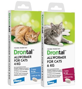 Health Remedies Homeopathics: Drontal for Cats and Kittens: treats and controls gastrointestinal worms