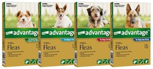 Health Remedies Homeopathics: Advantage Topical Flea Treatment for Puppies and Dogs
