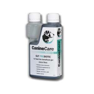 Nutritional Supplements: CanineCare GUT Prebiotic 250ml
