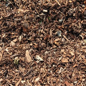 Organic Arborist Mulch Tui Landscape