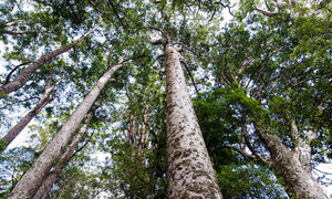 Products: Matakana & NZ Country Life