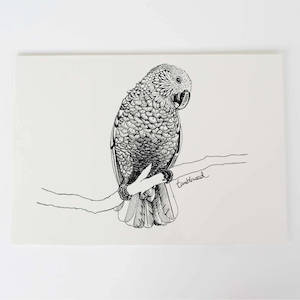 Kaka Collection: Kaka Art Print