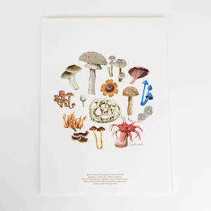 Fungi: Fungi Colour Art Print