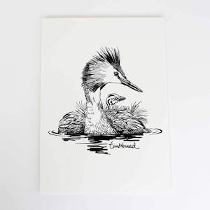 Puteketeke Collection: Pūteketeke Art Print